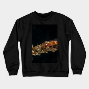 Colored sea whip coral goby Crewneck Sweatshirt